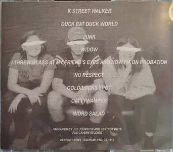 CD Destroy Boys: Sorry, Mom