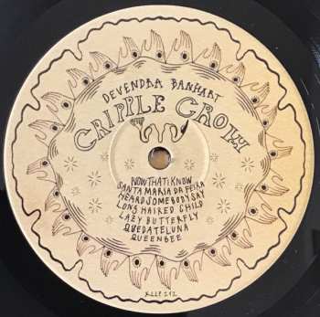 2LP Devendra Banhart: Cripple Crow