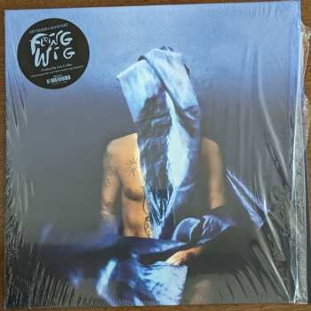 Album Devendra Banhart: Flying Wig