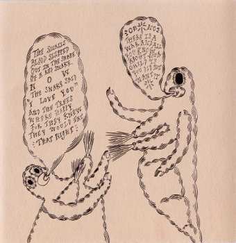 CD Devendra Banhart: Rejoicing In The Hands