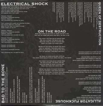 LP Devil's Gun: Sing For The Chaos