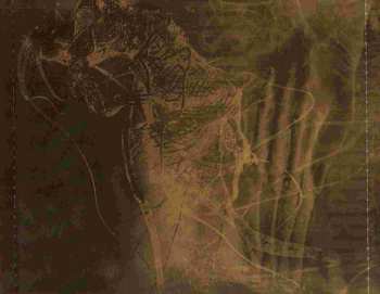 CD DGM: Misplaced