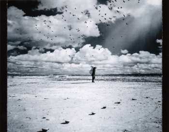CD Dhafer Youssef: Birds Requiem