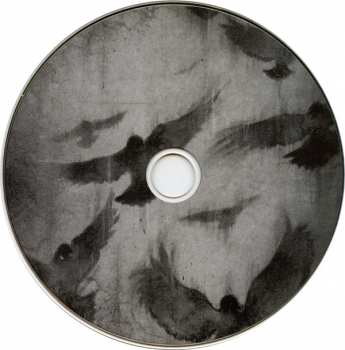 CD Diary Of Dreams: Grau Im Licht