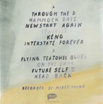 LP Dick Diver: New Start Again LTD | CLR