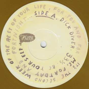 LP Dick Diver: New Start Again LTD | CLR