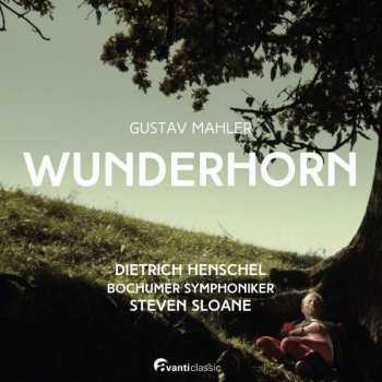2CD Dietrich/steven Henschel: Wunderhorn