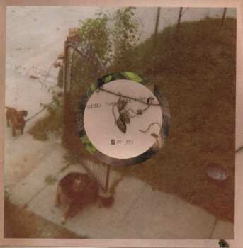 3SP/Set di cofanetti DIIV: Sometime / Human / Geist LTD | CLR
