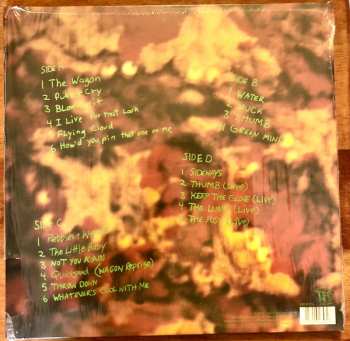 2LP Dinosaur Jr.: Green Mind DLX | CLR
