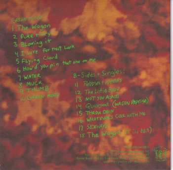4CD/Set di cofanetti Dinosaur Jr.: Puke + Cry – The Sire Years 1990-1997