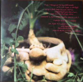 2LP Dinosaur Jr.: Where You Been DLX | CLR