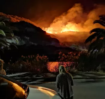 Dirty Old Dogs: Let's Burn Heaven Again