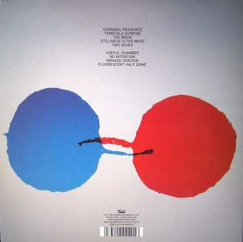 LP Dirty Projectors: Bitte Orca