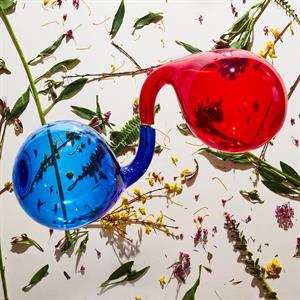LP Dirty Projectors: Lamp Lit Prose LTD | CLR