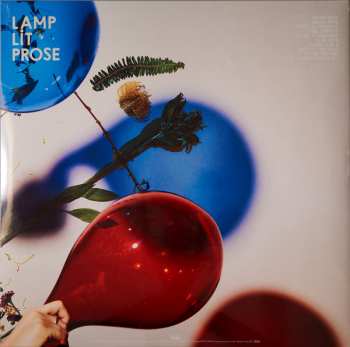 LP Dirty Projectors: Lamp Lit Prose LTD | CLR