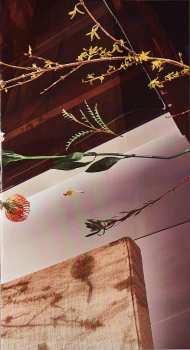 LP Dirty Projectors: Lamp Lit Prose LTD | CLR