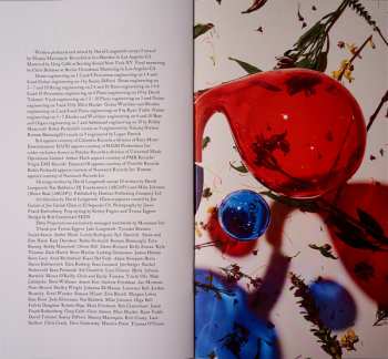 LP Dirty Projectors: Lamp Lit Prose LTD | CLR