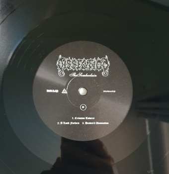 2LP Dissection: The Somberlain