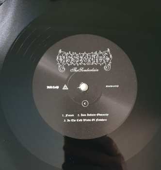 2LP Dissection: The Somberlain