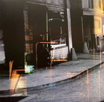 2LP Dixie Chicks: Taking The Long Way