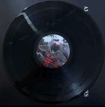 LP DJ LOSER: Stealth Hope