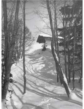 Album DJ Richard: Path Of Ruin