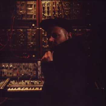 2LP DJ Shadow: The Mountain Will Fall