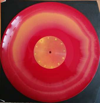 LP DJINN: Transmission LTD