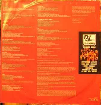 2LP DMX: Flesh Of My Flesh Blood Of My Blood CLR