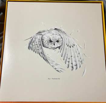 10LP/Set di cofanetti Doctor Who: Hornets' Nest CLR | LTD