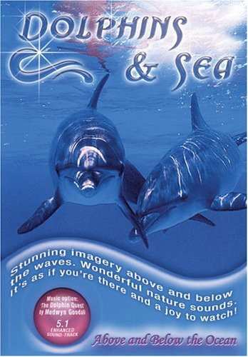 Album Documentary: Dolphins & Sea
