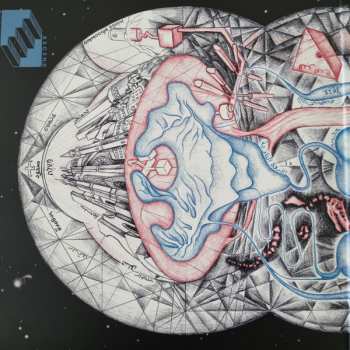 LP Domkraft: Ascend / Descend LTD | CLR