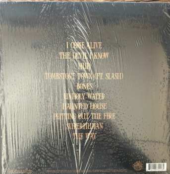 LP Dorothy: The Way