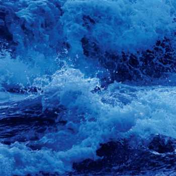 LP Doug Wieselman: From Water