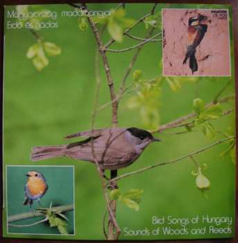 LP Dr. Ország Mihály: Magyarország Madárhangjai - Erdő És Nádas / Bird Songs Of Hungary - Sounds Of Wood And Reeds