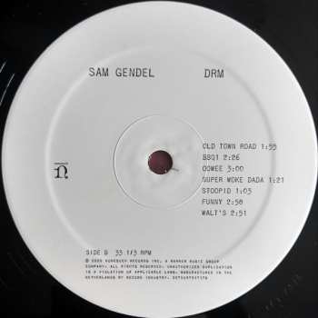 LP Sam Gendel: DRM