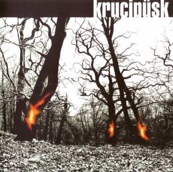 CD Krucipüsk: Druide!