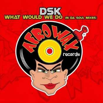 CD DSK: What Would We Do