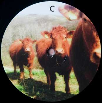 2LP Dub Dynasty: Holy Cow