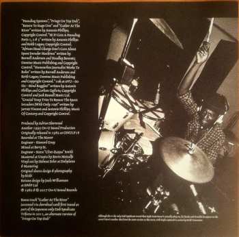 LP Dub Syndicate: The Pounding System (Ambience In Dub)