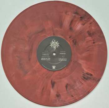 2LP Dvne: Voidkind CLR