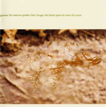 CD/DVD Earth: Hibernaculum