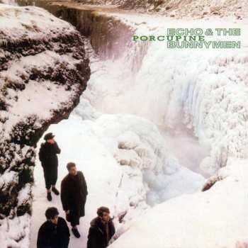 LP Echo & The Bunnymen: Porcupine