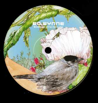 LP Ed Wynne: Shimmer Into Nature