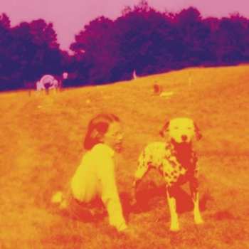 Album Eels: Blinking Lights And Other Revelations