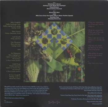 LP Eight Point Star: Eight Point Star