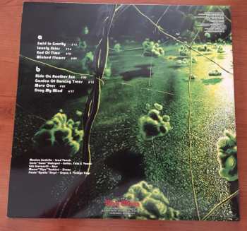 LP Electric Swan: Swirl In Gravity