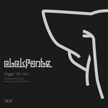 LP Elekfantz: Diggin' On You