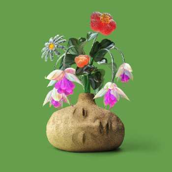 LP Elephant Gym: Dreams LTD