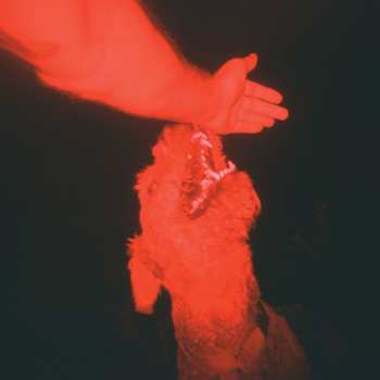 Album Eli Winter: A Trick Of The Light